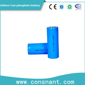 Kleiner Lithium-Eisen-Phosphatbatterie-leichter langer Zyklus-dienendes Leben